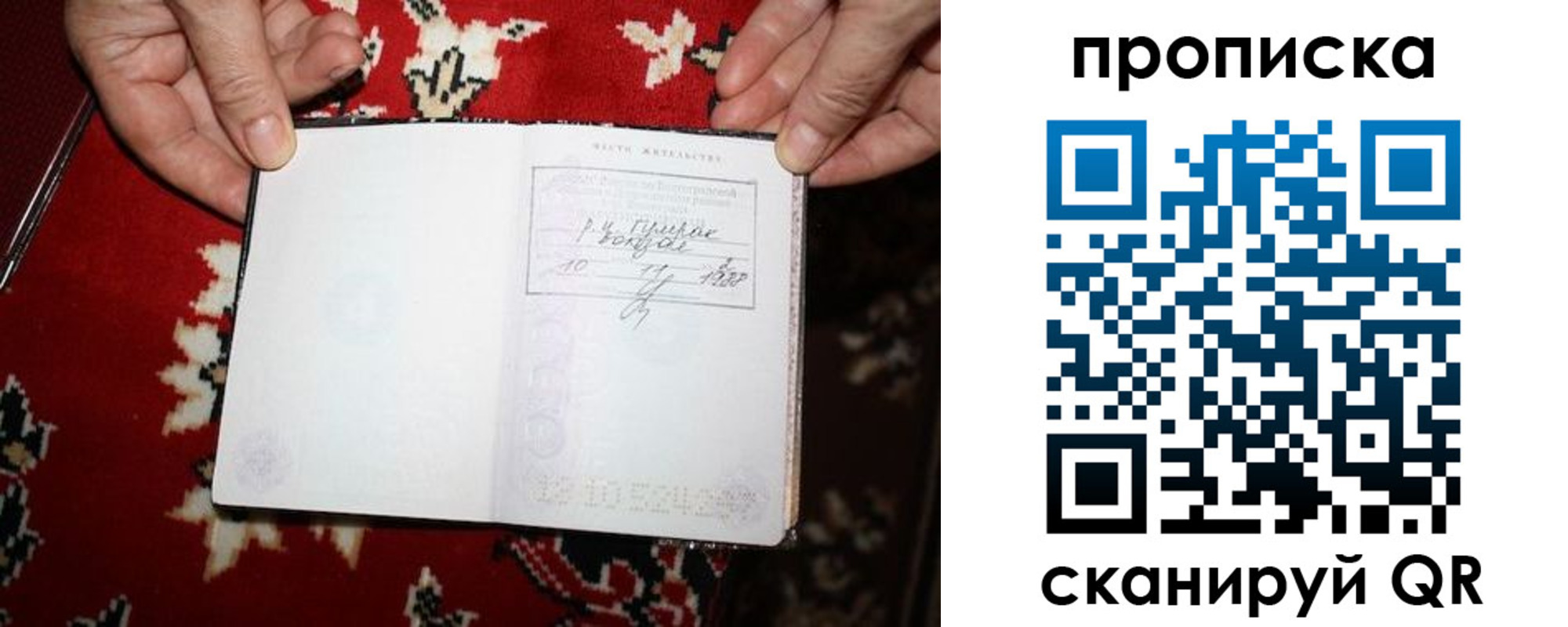 где прописаться в Сосновом Бору